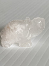 Load image into Gallery viewer, Turtle Stone Carving