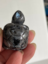 Cargar imagen en el visor de la galería, Turtle Stone Carving
