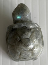 Charger l&#39;image dans la galerie, Turtle Stone Carving

